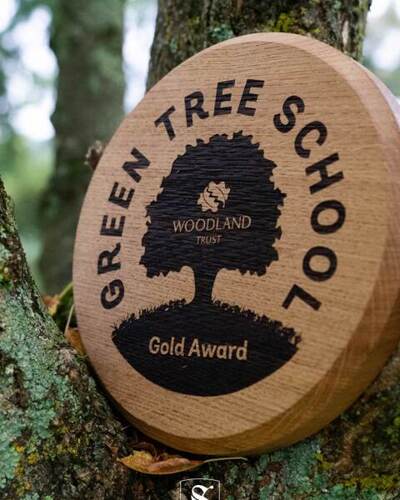 Green Tree School Award Square2